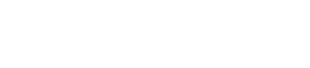 LOGO dv777